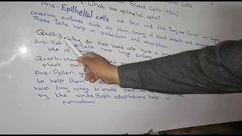 APSACS - OSP - Week 3 - Class 6 - Science - Lecture 2