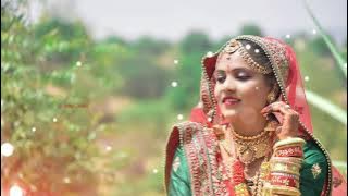 o chori hu to thaigyo taro diwano status