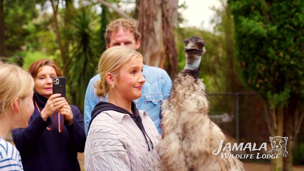 Jamala Wildlife Lodge - 2025 60sec TVC