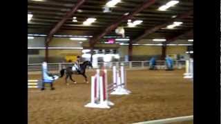 Rose Palace Summer Charity Show-2&#39;6&quot; Jumpers Jump-Off-Illusion