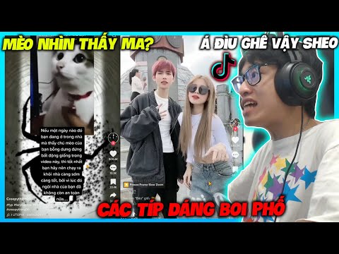 Video MÈO NHÌN THẤY MA CỰC ẢO VÀ CÁC TIP ĐÁNG BOI PHỐ NGÂN... - youtube