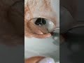 طريقة عمل اضائة سائلة للجسم نانا بيوتي