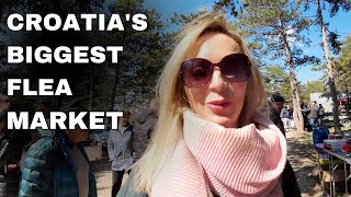 Benkovacki Sajam - the BIGGEST Croatian FLEA MARKET! by Royal Croatian Tours 14,779 views 11 months ago 14 minutes, 28 seconds