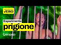 Il controverso esperimento della prigione di Stanford e la dimostrazione dell’Effetto Lucifero