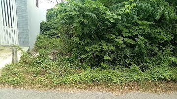 ĐẤT NỀN CỦ CHI GIÁ RẺ, vị trí MẶT TIỀN ĐƯỜNG NHỰA, xã Tân Thông Hội, gần Quốc lộ 22: 5x28 👉2,15 tỷ