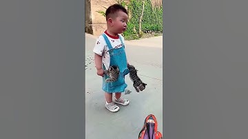 Viral Videos 🔥 | Trending | TikTok 🤪 | WhatsApp Status | Comedy | Funny Video #short #funnyvideos 📷