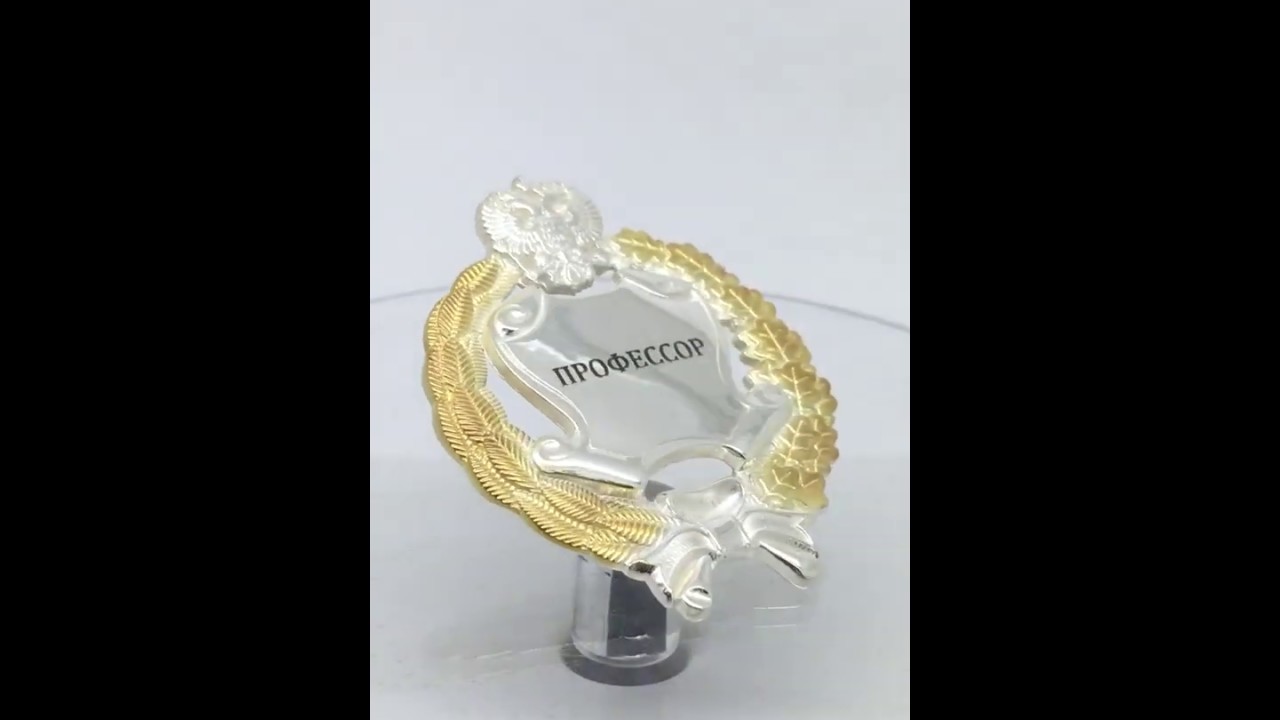 №710  Именной нагрудный знак "ПРОФЕССОР", парадный