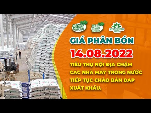 Video Giá phân bón hôm nay ngày 14/08/2022: các nhà máy... - youtube