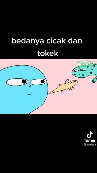 Manusia vs cicak dan tokek!! animasi vernalta