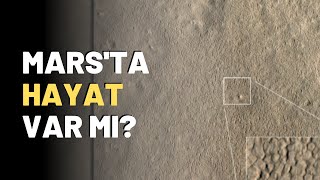 Mars'ta Hayat Var Mı?