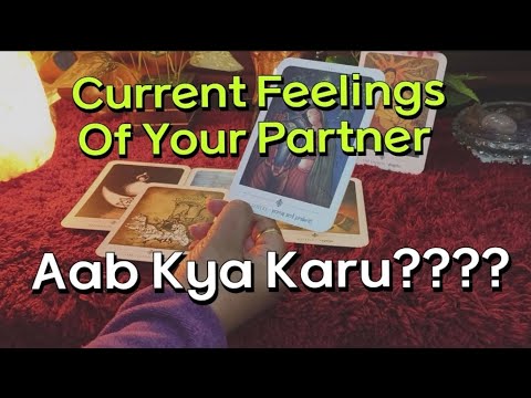 Current feelings of your Partner tarot card reading in hindi love ...