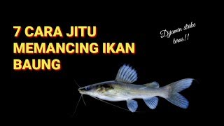 7 CARA JITU MEMANCING IKAN BAUNG