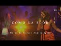 Como la flor - Andrea Rodríguez. | Noche de Taifas