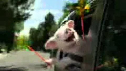 Jerry melton get a ride home