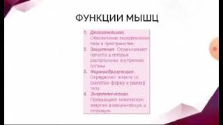 9 класс биология. Мышцы. Татарова Р.9 Г