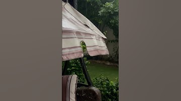 (ويقولون متى هذا الوعد ان كنتم صادقين) للقارئ عبد الرحمن مسعد❤️❤️❤️