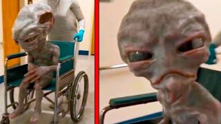 Scientists Discover an Alien in Russia, What Happened Next Shocked the Whole World
