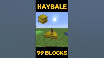 How Many Blocks Can You Fall From #shorts #minecraft