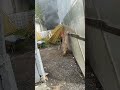 Пожар в Ивантеевке.