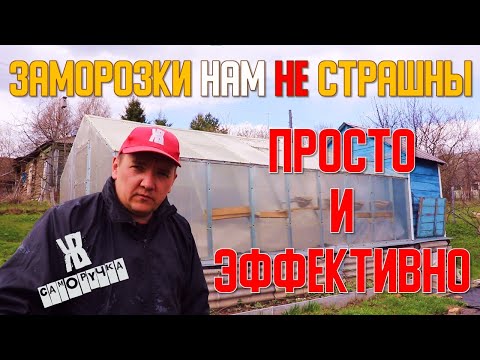 КАК СОХРАНИТЬ РАССАДУ В ЗАМОРОЗКИ. Простое решение. ЖКВ Саморучка