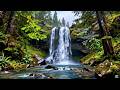 Deep Sleep Therapy with Natural Sounds 🌿 Stress Relief, Insomnia &amp; Focus Healing