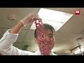 Michelin Star Chef David Shim Shares His High-Protein Beef Recipe | Weights & Plates | Men's Health