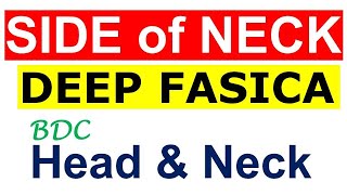 Chp3 | SIDE of NECK | DEEP FASCIA | Head & Neck Anatomy | BDC Vol3