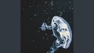 Download Lagu sehidup semati MP3