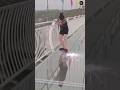 क्या सच में कांच के ब्रिज पर भरोसा किया जा सकता हैं!?..🥺#india #shorts #viral #facts #foryou