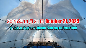 PyraPOD with iAVs in Qingdao (72): Day 22 after PyraPOD Pentecost