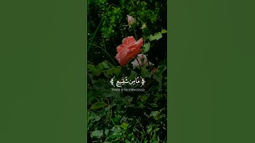 اجمل تلاوة خاشعة من سورة السجدة