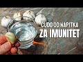 Voda od belog luka kao lek - recept za jačanje imuniteta (iskustva)