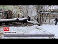 Одеська область в сніговому полоні: понад 100 населених пунктів залишилося без електроенергії