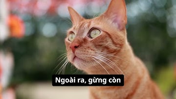 Lợi ích củ gừng tươi cho sức khỏe mỗi ngày bạn nên biết | Sức khỏe Đời Sống