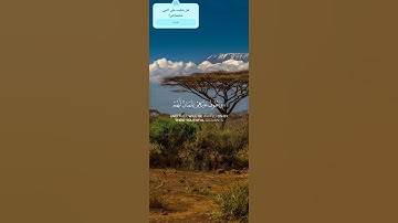 وأمددناهم بفاكهة ولحم مما يشتهون||عبدالله فيصل البطي||سوره طور|| #القرآن_الكريم #عبدالله_فيصل_البطي