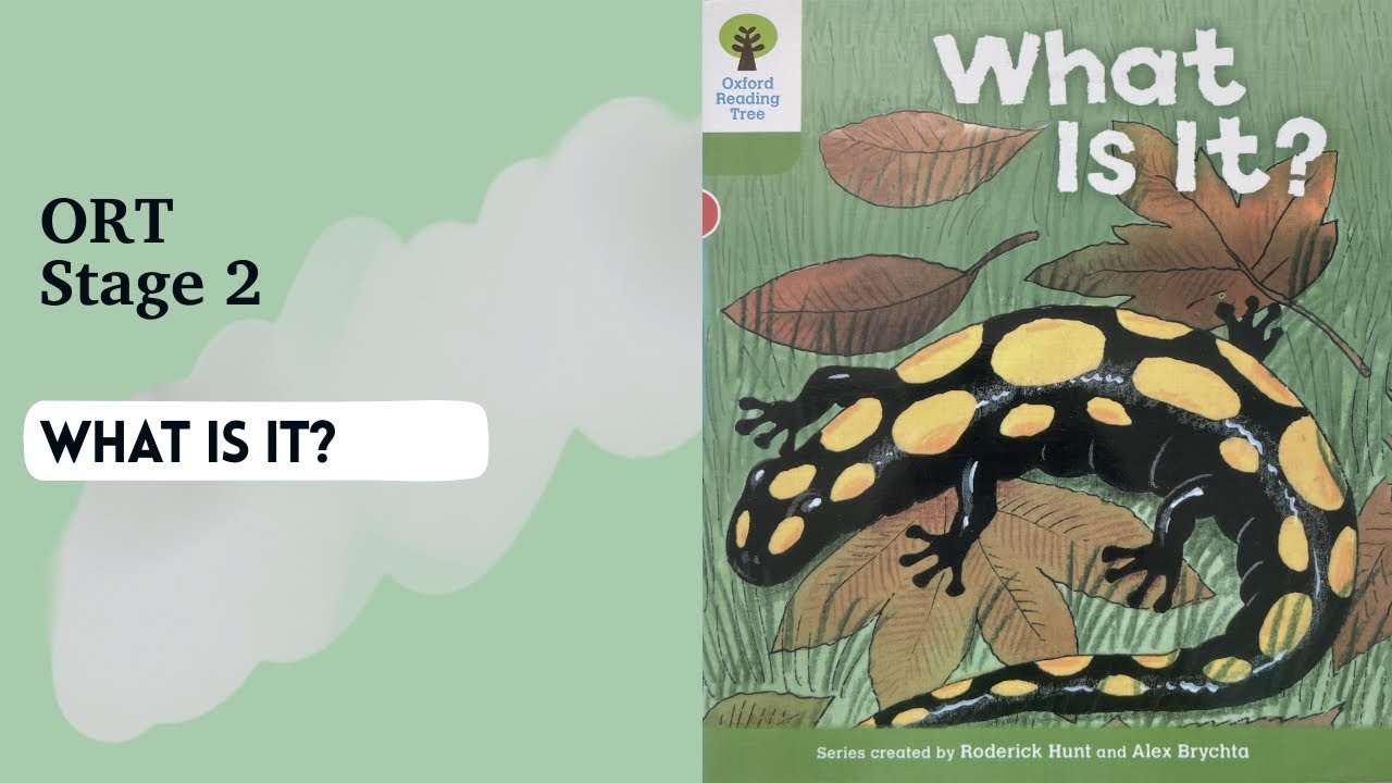 ORT] Stage 2 What Is It? Read Aloud - YouTube