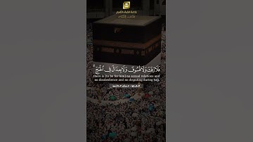 تلاوة الشيخ هيثم الدخين