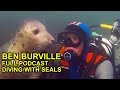 Encounters with grey seals ft ben burville