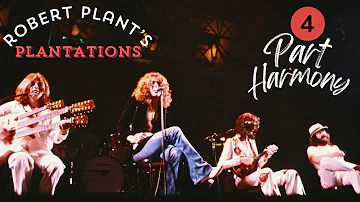 Robert Plant's Plantations: 4 Part Harmony (Tangerine)