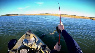 I Caught 2 FISH at the Same Time! (Kayak fishing)