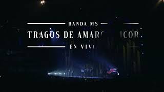 Banda MS Tragos De Amargo Licor (Con Acordeón) En Vivo (Video Oficial)
