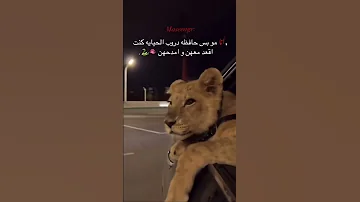 حافظة دروب الحيايا طبعا وحدة وحدة اشتراك بالقناة اكسبلور اشتراك ريلز انستغرام 
