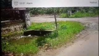 Bung Karno Jalmo Agung Lelagon jawa timuran