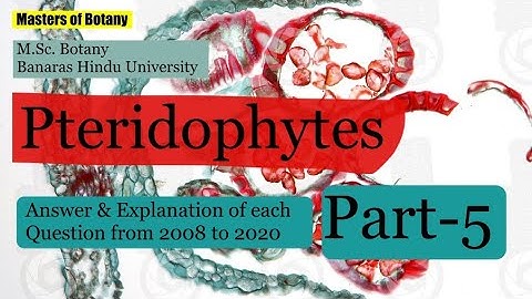 Pteridophytes: Part-5 | BHU M.Sc. Botany Entrance Exam | Answer & Explanation [2008-2020 Questions]