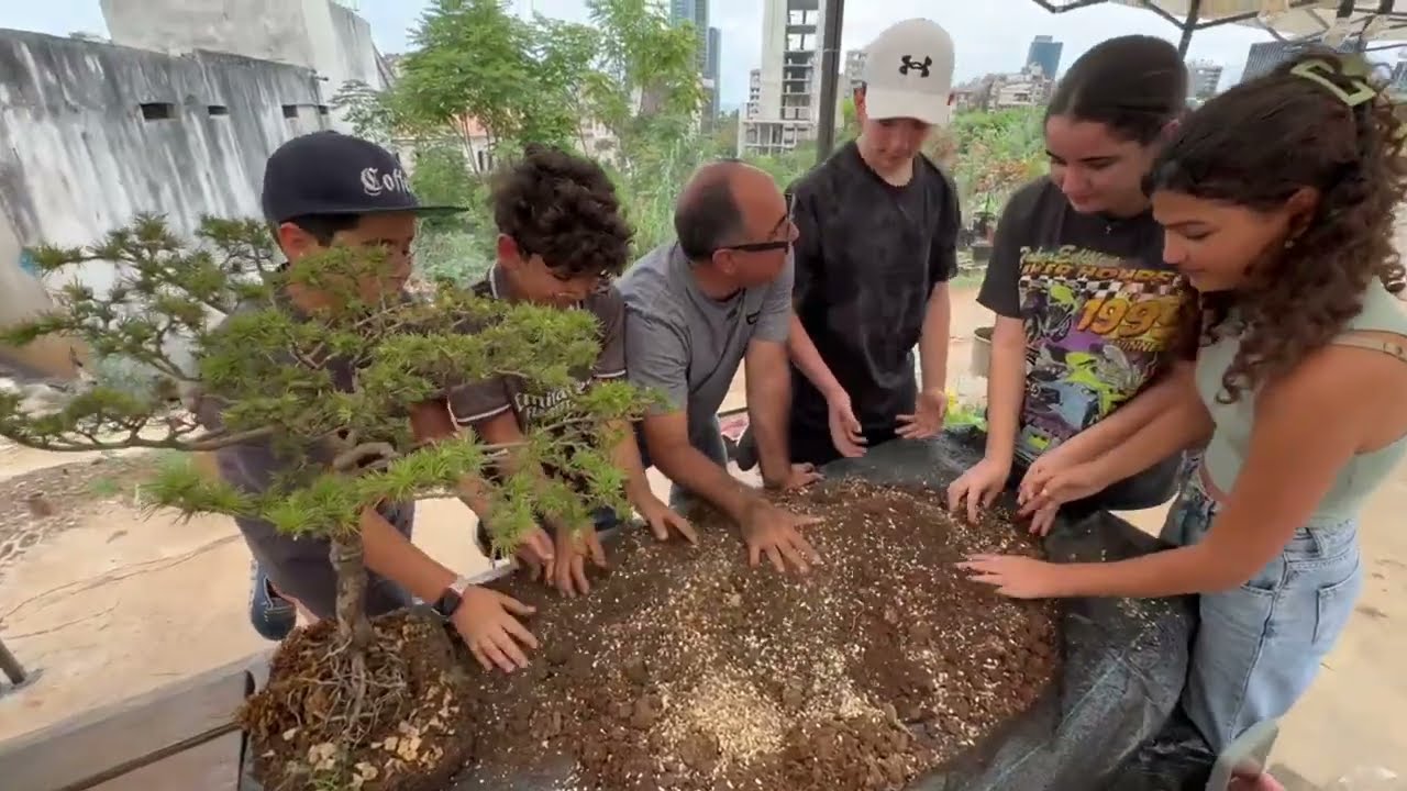 The Village by MadeByNature: Reclaiming Lebanon - Stand With Us & Preserve Our Identity