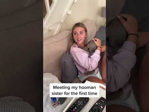 Adorable puppy gets to meet his human sister for the first time!