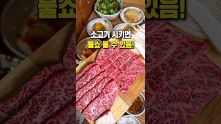 고기 미식회 레전드, 불쇼+투쁠 한우 맛집 #shorts