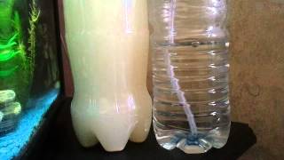 Homemade CO2 injection system and air stone