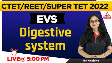 CTET/REET/SUPER TET 2022 | EVS | Digestive System For All TET Exams