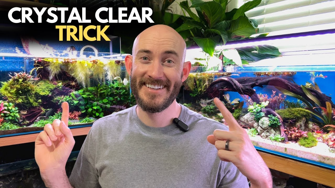 First Time Setting Up a Canister Filter? Do THIS for Clear Water